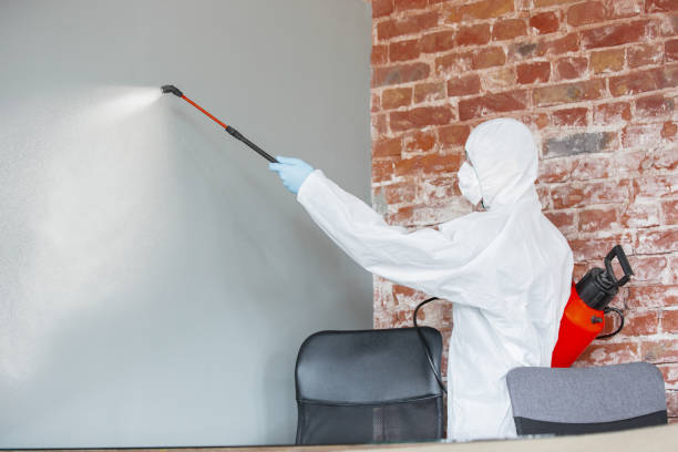 Best Post-Construction Mold Inspection  in Harlem, GA