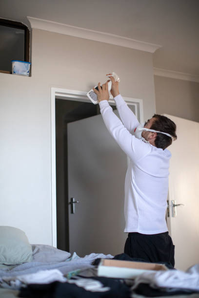  Harlem, GA Mold Removal Pros