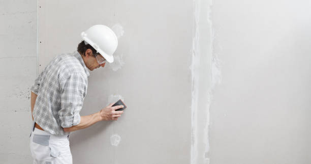 Best Environmental Consulting for Mold Prevention  in Harlem, GA