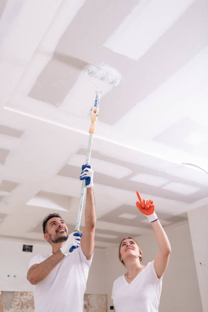 Best Black Mold Removal  in Harlem, GA