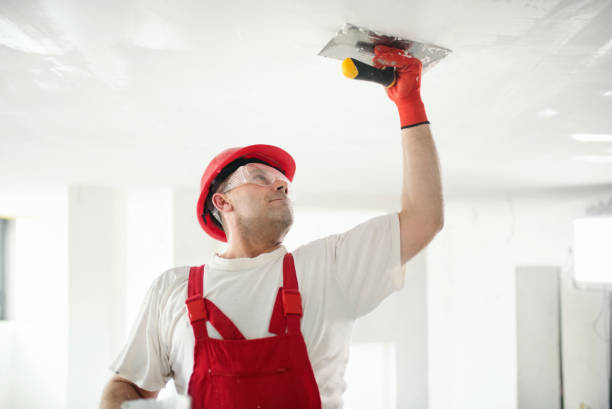 Best Post-Remediation Verification Testing  in Harlem, GA
