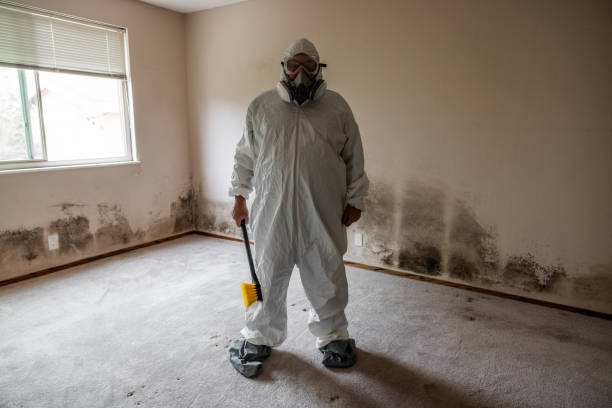 Best Crawl Space Mold Remediation  in Harlem, GA
