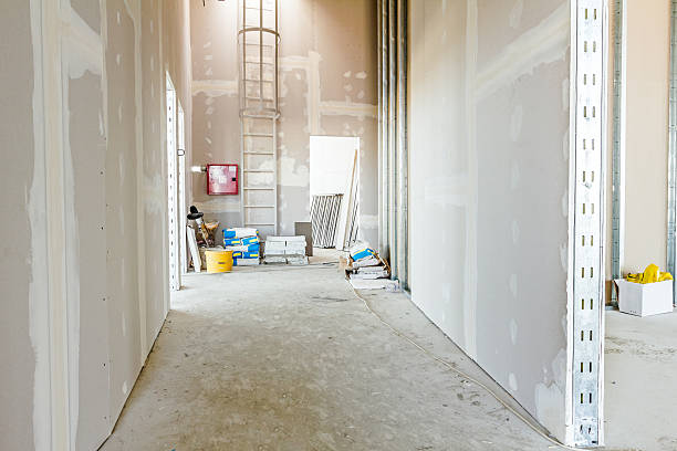 Best Dehumidification Services  in Harlem, GA